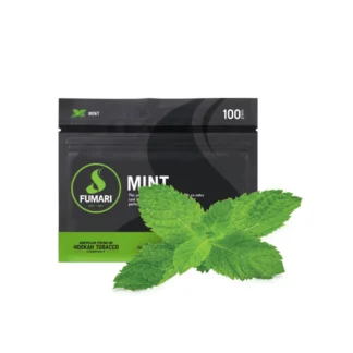 Mentă