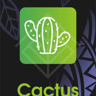 Cactus (Caktys)