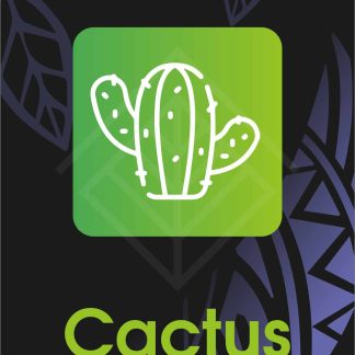 Cactus (Caktys)
