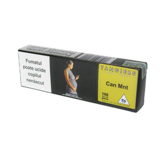 Cane Mint