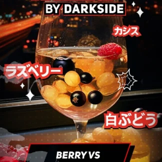 Xperience Berry Vs