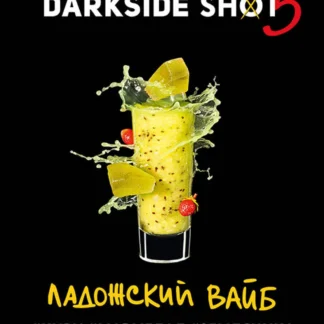 Ладожский Вайб