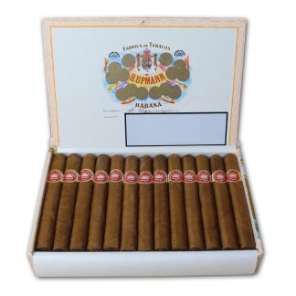 Petit coronas