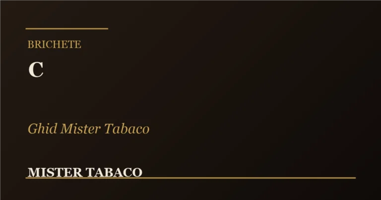 Zippo vs Myon vs Sepang vs Pergusa: ghid Mister Tabaco pentru alegerea brichetei
